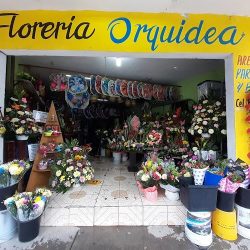 Floreria Orquidea 2