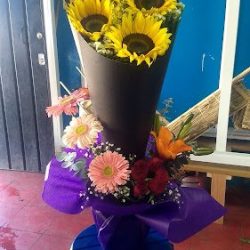 Florería Orquídea 2 En San Juan