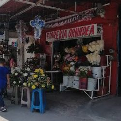 Florería Orquídea