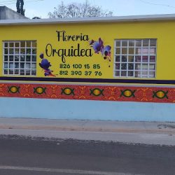 Florería Orquídea