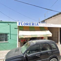 Florería Orquídea