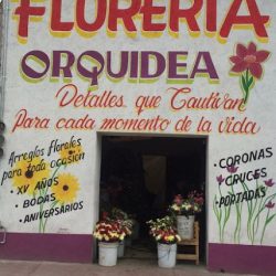 FlorerÍa OrquÍdea