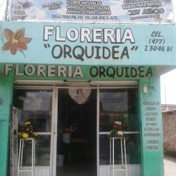 Florería Orquídea🌹