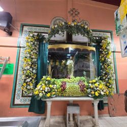 Floreria "orquidea"