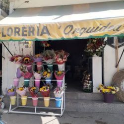 FlorerÍa OrquÍdea