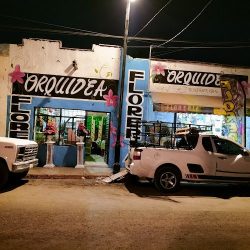 Florería Orquídea