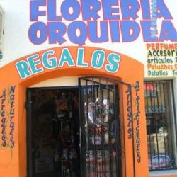 Florería Orquidea