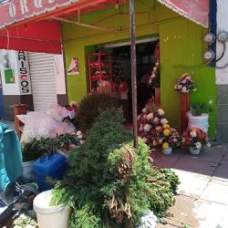 Floreria OrquÍdea