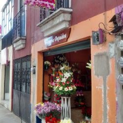 Florería Orquidea