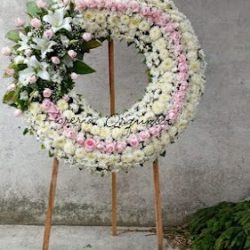 Florería Orquídea