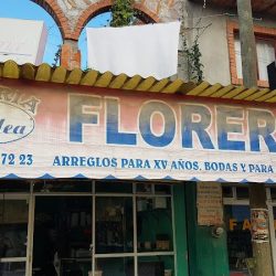 Floreria Orquidea