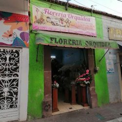 Floreria Orquídea