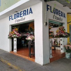 Florería Orquídea De Apaseo El Alto Guanajuato