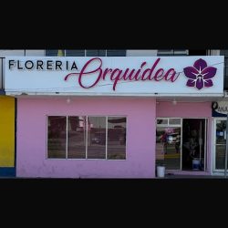 Floreria Orquidea Ojinaga