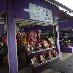 Florería Orquídeas