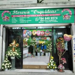 Florería "orquídeas"