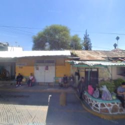 Floreria "orquidia"
