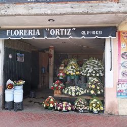 Florería Ortiz