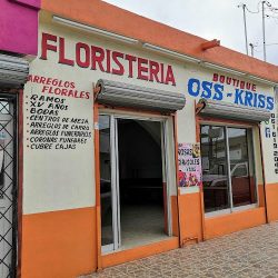 Florería Oss-kriss
