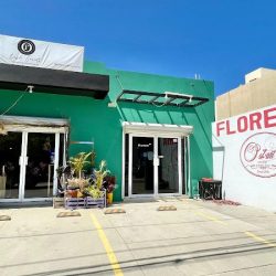 Floreria Oszart Los Cabos