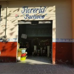Florería Pachuca