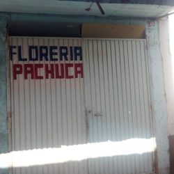Florería Pachuca