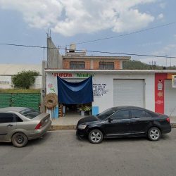 Floreria Pahuatlan