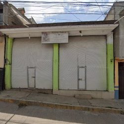 Florería Palmas
