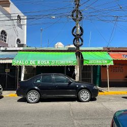 Florería Palo De Rosa - Villahermosa
