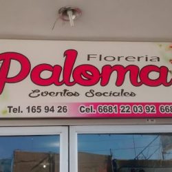 Florería Paloma