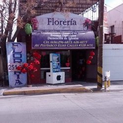 Floreria Paloma Cd. Juarez