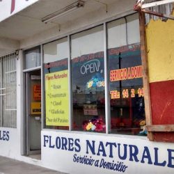Florería "pamela"