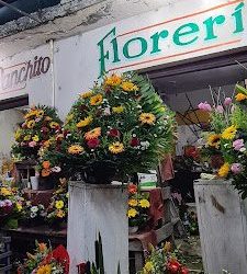 Florería Panchito