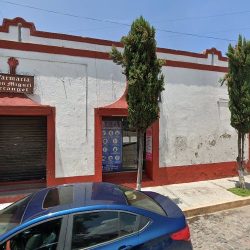 Florería Papalotla
