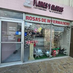 Floreria Paradise