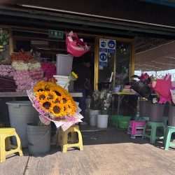 Florería Paraiso