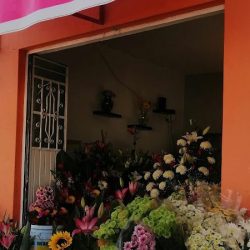 Florería Paraiso
