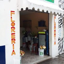 Florería Paraíso