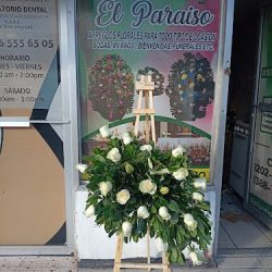 Floreria Paraiso