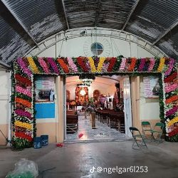 Florería Paraíso