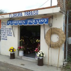Floreria Paraiso