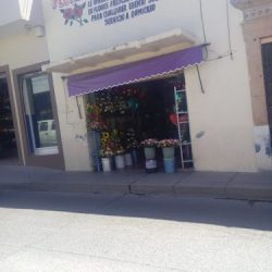 Florería Paraíso