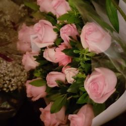 Floreria Paraiso Floral