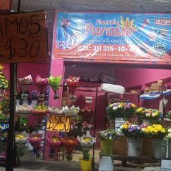 FlorerÍa Paraiso Tepic