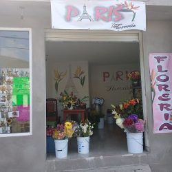 Florería "parís"