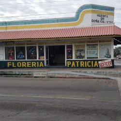 Floreria Patricia