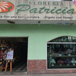 Florería Patricia