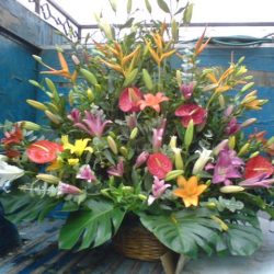 Floreria Paty