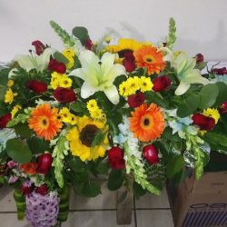 Floreria Paula