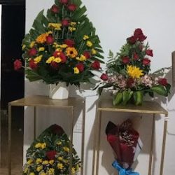 Florería Paulina